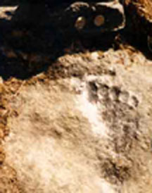 a foot print