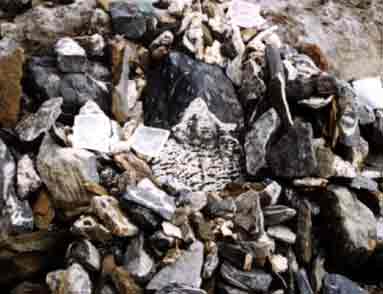a natural image of Kailash