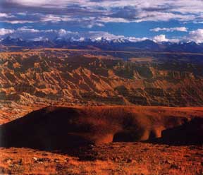 A Picture of the Earthen Forest