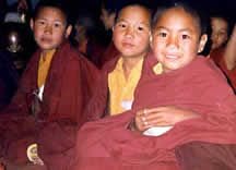 Tenzin Phuntrok and his friends