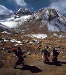 Pilgrims at Kailash